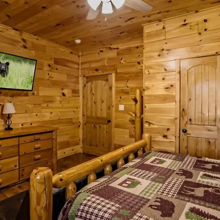 Beartastic Mountain View Lodge-2