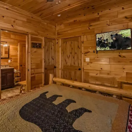 Beartastic Mountain View Lodge-3
