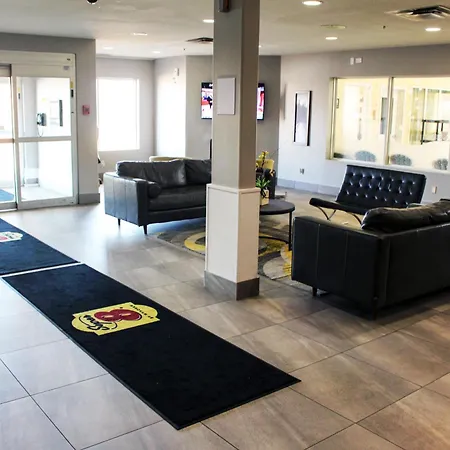 Super 8 By Wyndham Edmonton South-3
