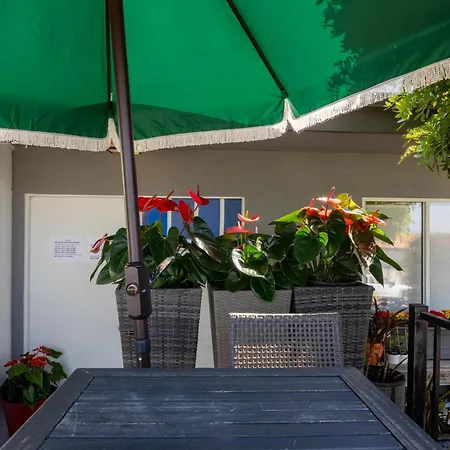 Overlooking Marina Del Rey Sailboats, Is Green Ginger Playa Del Rey On The Bluff,-3