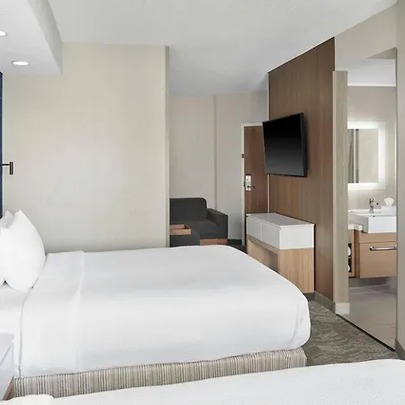 Springhill Suites By Marriott Lansing West-2