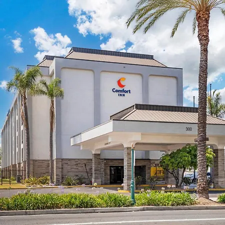 Comfort Inn Anaheim Resort-3