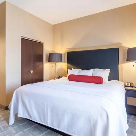 Cambria Hotel Pittsburgh - Downtown-2