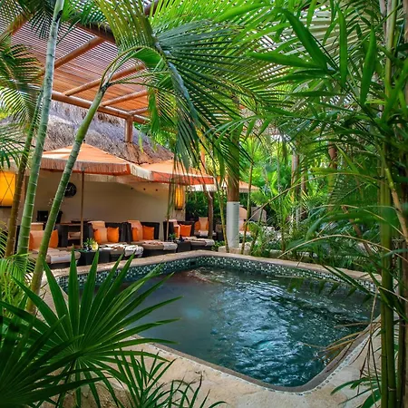 Villa Del Palmar Cancun Luxury Beach Resort & Spa-3