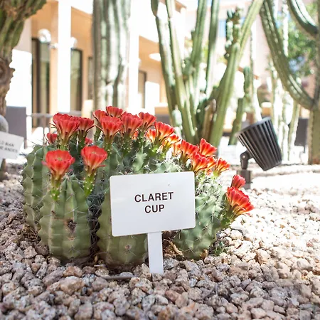 Courtyard By Marriott Phoenix Mesa-3