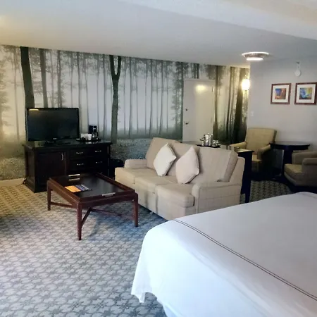 Anaheim Majestic Garden Hotel-3