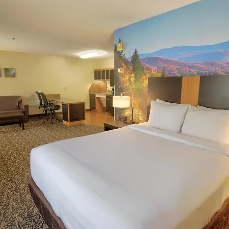 Leconte Hotel & Convention Center, An Ascend Collection Hotel-2