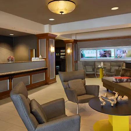 Springhill Suites By Marriott Tampa Westshore Airport-3