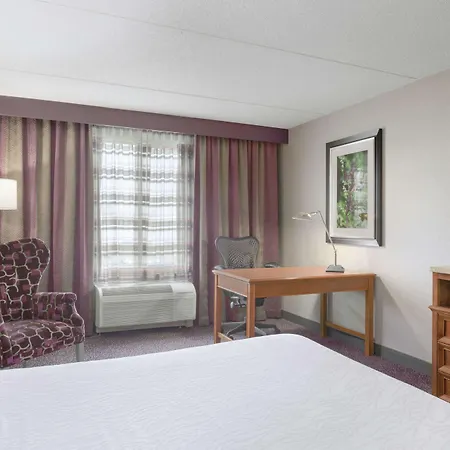 Hilton Garden Inn Springfield, Ma-3