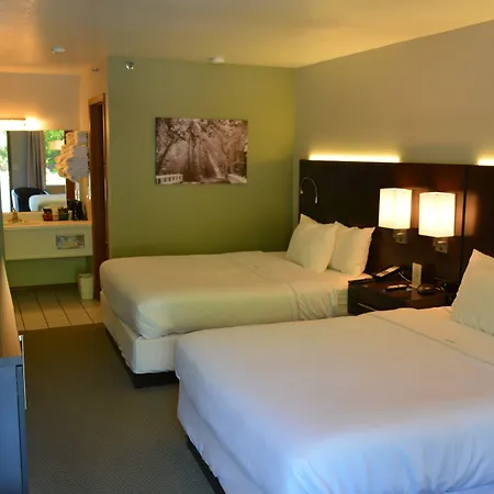 The Ozarker Lodge-2