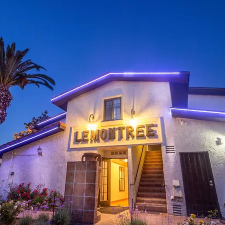 Lemon Tree Hotel And Suites-3