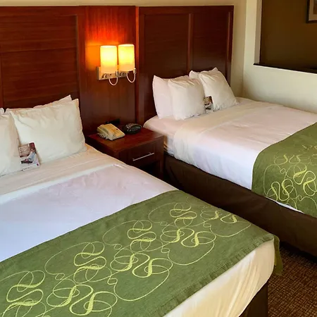Comfort Suites Texas Ave-2