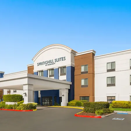 Springhill Suites By Marriott Modesto-2