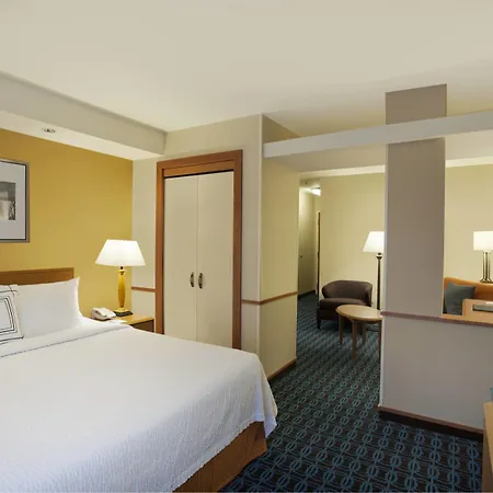 Fairfield Inn & Suites By Marriott Detroit Metro Airport Romulus-2