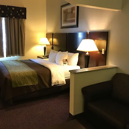 Comfort Inn & Suites Amarillo East-2