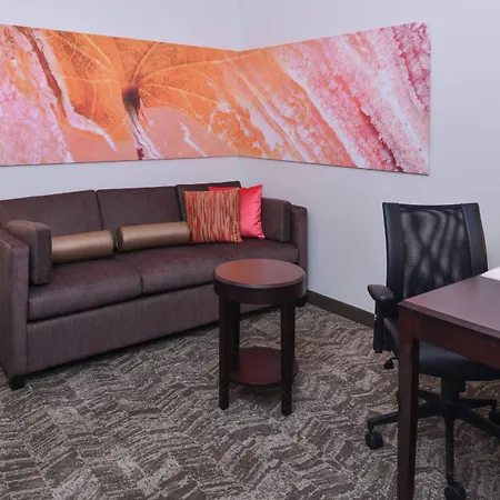Springhill Suites By Marriott Oklahoma City Airport-3