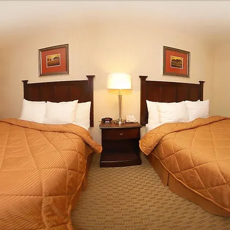 Comfort Inn & Suites Henderson - Las Vegas-3