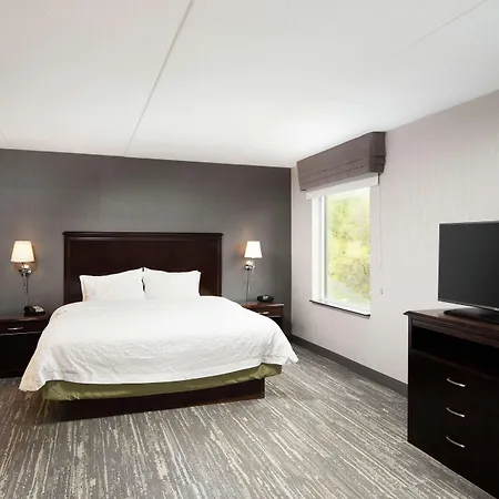 Hampton Inn & Suites By Hilton Barrie-3