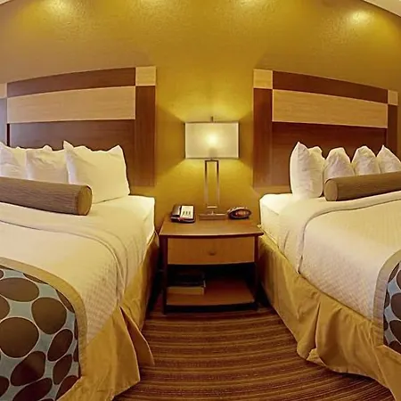 Best Western Plus Palo Alto Inn And Suites-3