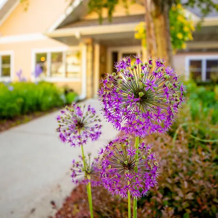 Westwood Shores Waterfront Resort-2