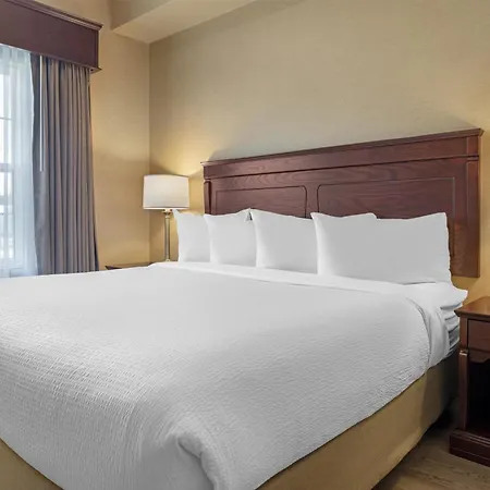 Best Western Plus Fredericton Hotel & Suites-2