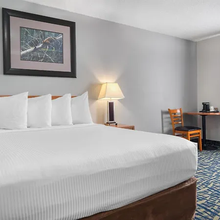 Surestay Plus Hotel By Best Western Lethbridge-2