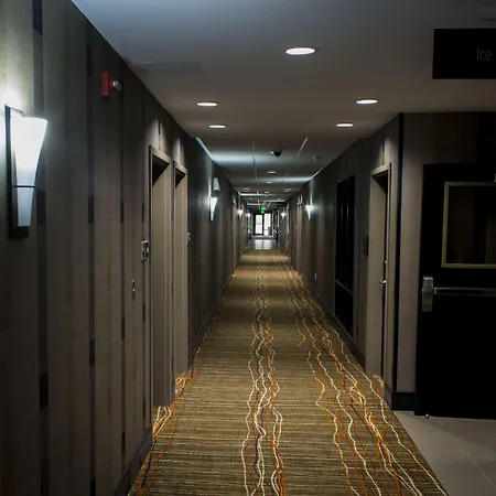Hampton By Hilton Lansing West-3