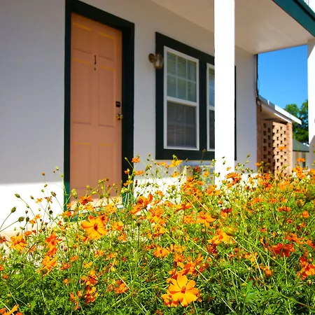 Peach Tree Inn & Suites-2