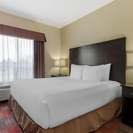 Best Western Plus Red Deer Inn & Suite-3