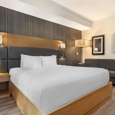 Executive Residency By Best Western Calgary City View North-2