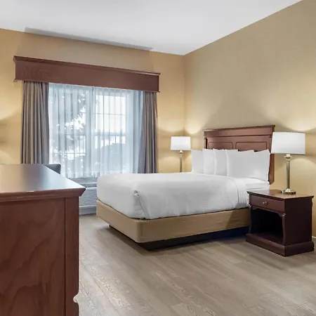 Best Western Plus Fredericton Hotel & Suites-3