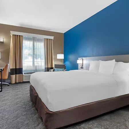 Comfort Inn & Suites Sacramento - University Area-2