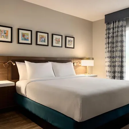 Hilton Garden Inn Fort Myers Airport/Fgcu-2