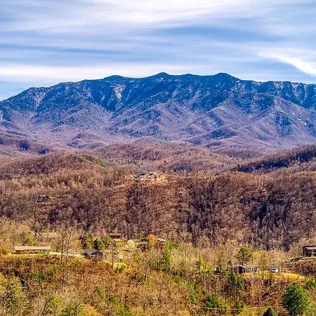 Mountain Laurel Lookout, Hot Tub, Wifi, 560 Free Tickets Each Paid Day!!!-3