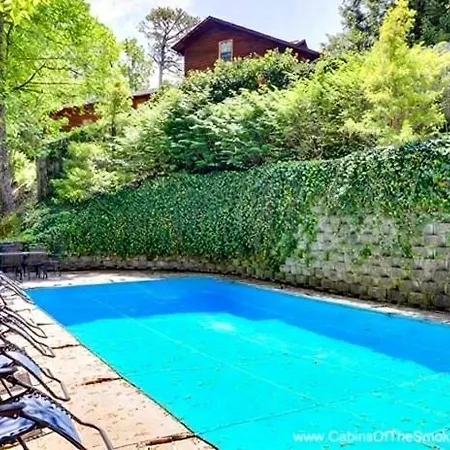 Splash Mountain Chalet: Private Pool Theater-3
