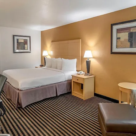 Best Western Palm Court Inn-3