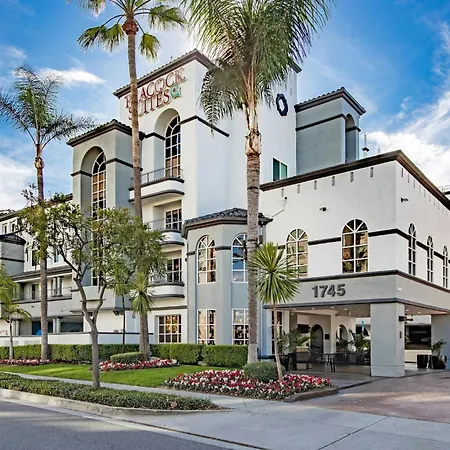 Peacock Suites-2