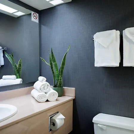 Cartier Place Suite Hotel-2