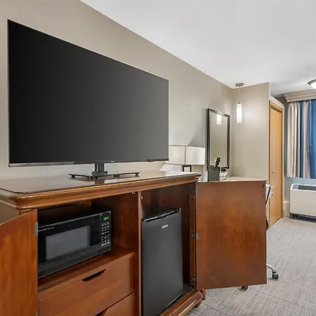 Best Western Plus Dubuque Hotel And Conference Center-3