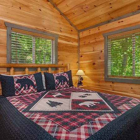 Black Bear Lookout By Stony Brook Cabins-3