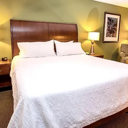 Hilton Garden Inn Green Bay-2