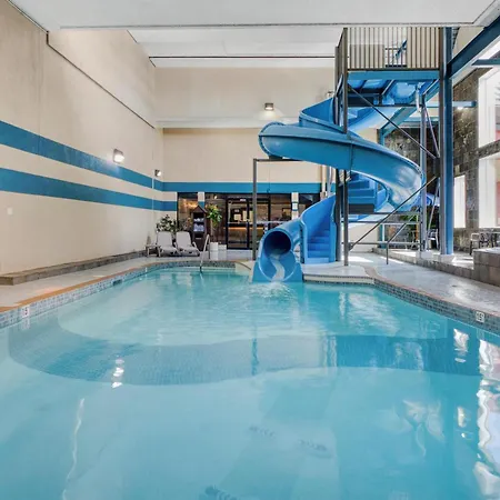 Best Western Plus City Centre Inn-3