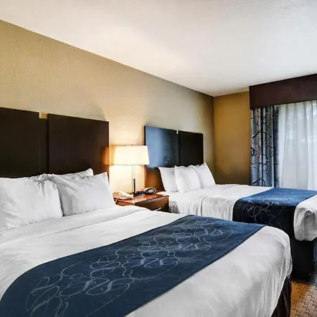 Comfort Suites Near Hot Springs Park-2