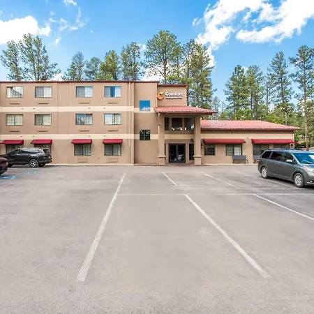 Comfort Inn & Suites Midtown-2