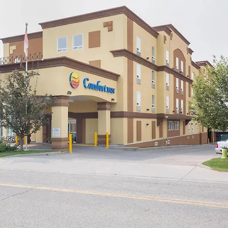 Comfort Inn & Suites Calgary - University-2