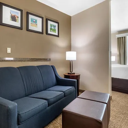 Comfort Suites Plano - Dallas North-3