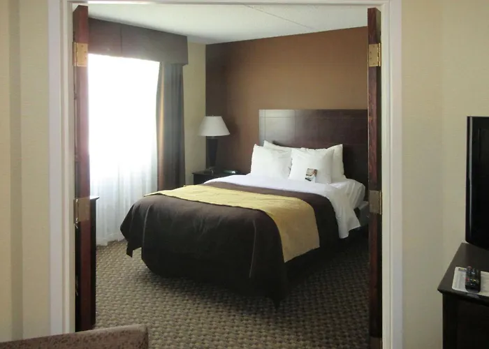 Comfort Inn & Suites Pittsburgh Fox Chapel