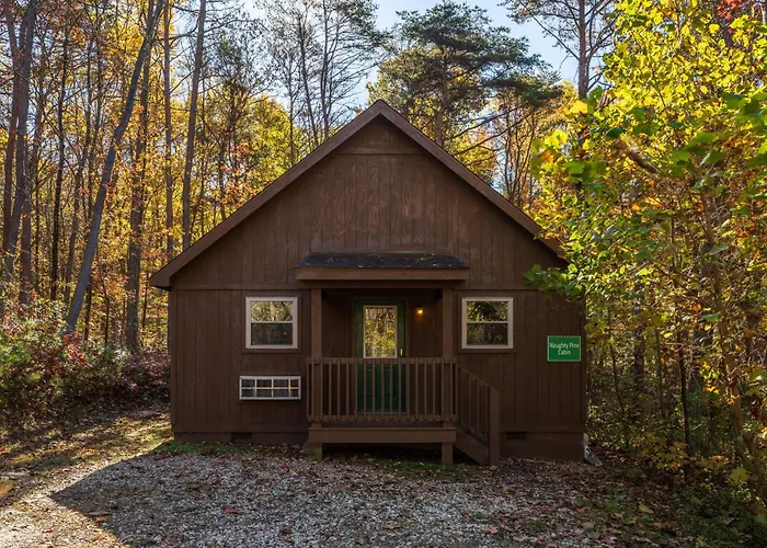 Blue Rose Cabins - Naughty Pine Cabin Logan