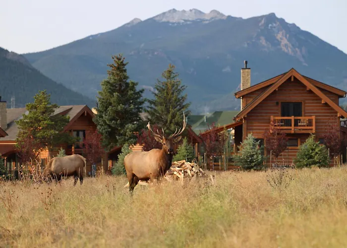 Luxury Cabin! Fireplace And Jacuzzi! Estes Park
