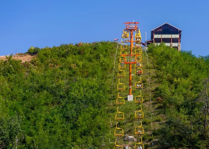 Three Bears Den, Hot Tub, Pool Table, Pool Access, 560 Free Tickets Each Paid Day Villa Gatlinburg